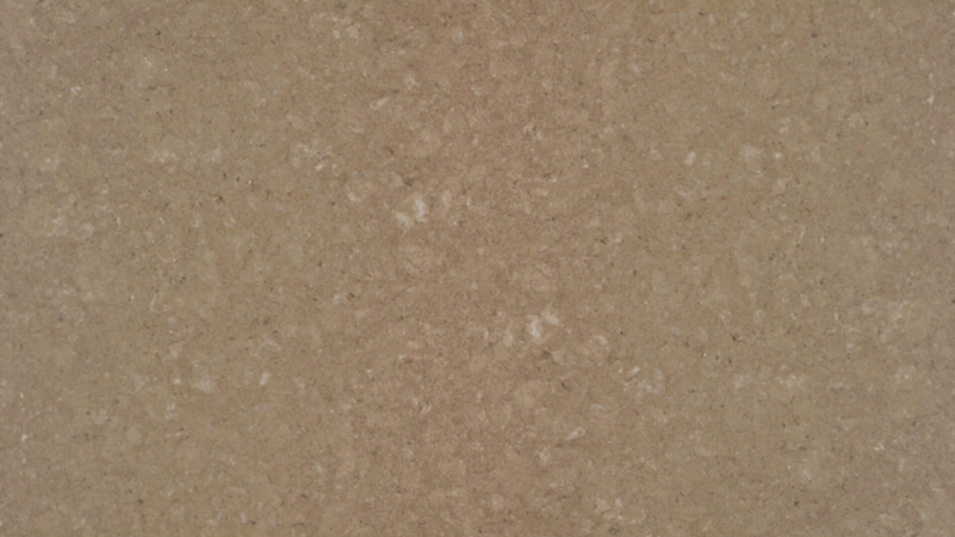 Caesarstone: Shitake